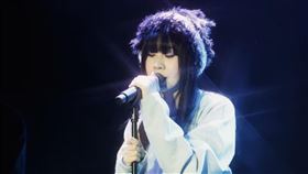 白安「路邊野餐」巡迴演唱會北京、上海。（圖／相信音樂提供）