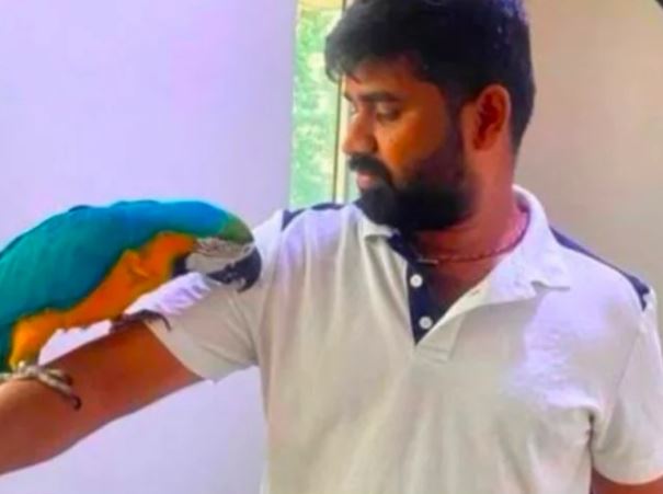 一位32歲印度商人，為了救飛上高壓電塔的寵物鸚鵡而被電擊、摔落地面。（圖／翻攝自X）