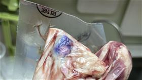 有民眾在好市多買到的牛肉出現詭異紫色，擔心肉質不安全。(圖／取自「Costco好市多 商品經驗老實說」)