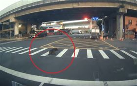 新北,三重,輾狗,動保處,Threads,虐狗,違規紅燈迴轉。（圖／翻攝Threads@kero_hao）