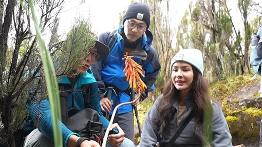 上山吧實境秀橫跨三大洲回台　網全讚爆