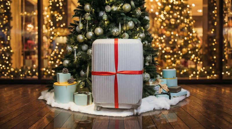 冬季最閃耀的旅行焦點！KK50-2 ALFRED「Twinkle Silver閃爍銀」，低調銀光點亮年末旅程。（圖／品牌業者提供）