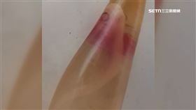 文 宰母鯊活寶1601