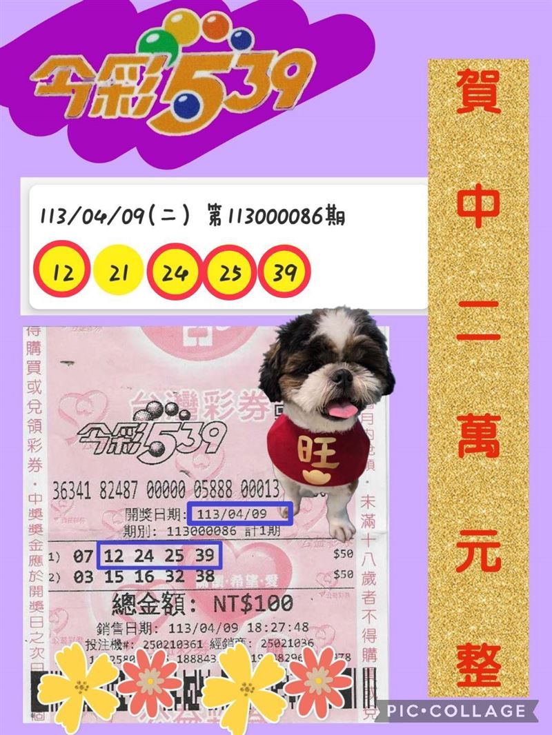 新店「益財彩券行」二代老闆娘林佩姍，忍著左腳神經斷裂的舊傷返家接班，靠著超萌「西施犬」店長與貼心的手寫大字看板，收服在地長輩的心！她更獨家公開中獎心法：「臉要笑、心要信，財神爺才肯進門！」更霸氣承諾若客人中頭獎不敢領，絕對全程陪同，暖心指數破表！（圖／林佩姍提供）