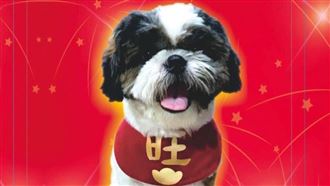 想中樂透？闆娘揭「中獎體質」秘密