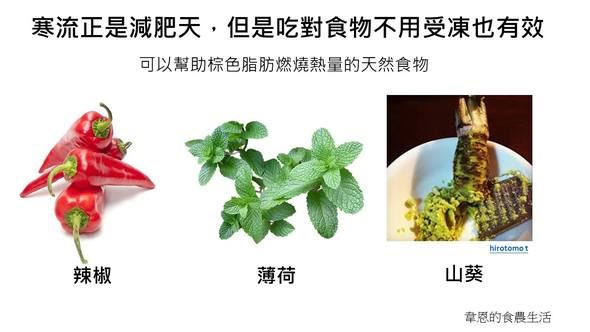 韋恩表示,辣椒、薄荷、山葵能啟動棕色脂肪的燃燒機制。(圖/取自韋恩的臉書)