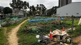 新北,林口,菜園,命案,老翁。（圖／翻攝畫面）