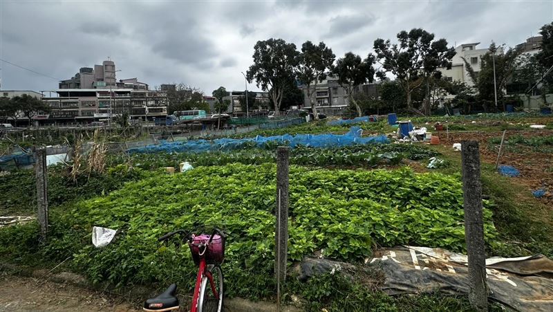 陳姓老翁因種菜問題與葉男發生口角,遭對方持刀砍傷。(圖/翻攝畫面)