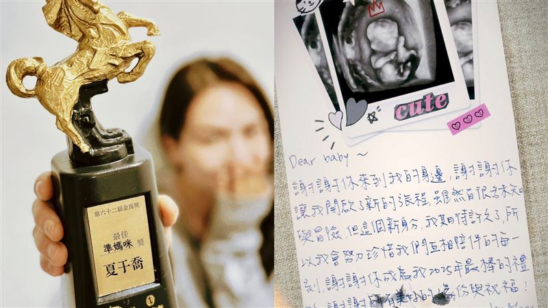 夏于喬17日宣布懷孕喜訊。（圖／翻攝自夏于喬臉書）