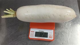 台北市衛生局今公布抽驗生鮮蔬果檢驗殘留農藥結果，有6件不符規定，其中錢都日式涮涮鍋市民大道店的青江菜、白蘿蔔農藥超標。（圖／北市衛生局提供）