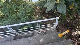 新北,新店,陽光運動公園,陽光橋,情侶,高粱酒瓶。（圖／翻攝畫面）