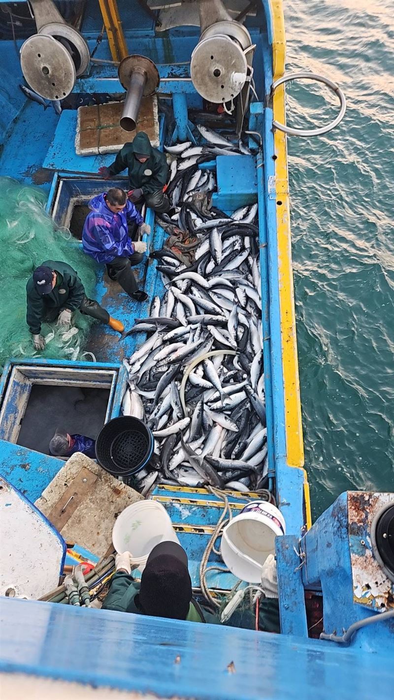 漁民摸黑出海捕獲4000多尾「正頭烏」,200萬年終獎金入袋。(圖/翻攝畫面)