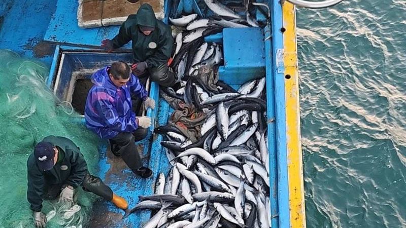 捕獲4000尾「正頭烏」 200萬年終獎入袋