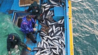 捕獲4000尾「正頭烏」　200萬年終獎入袋