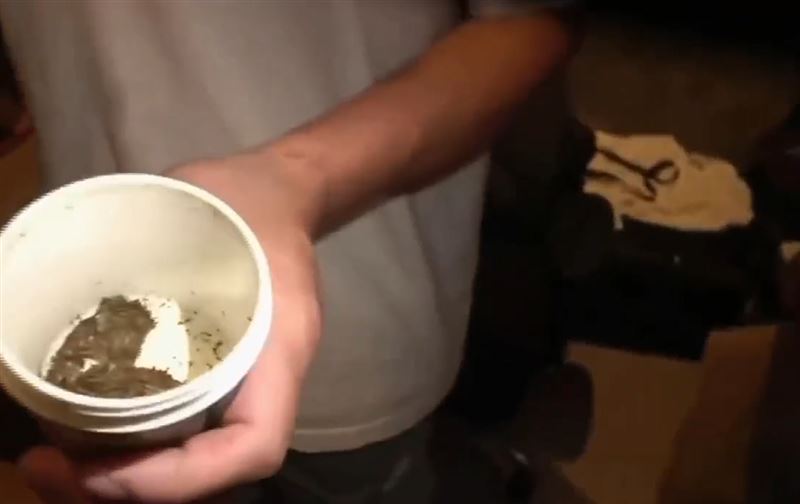 餐館廚房內藏大麻花,詹姓男子辯稱是自己睡前施用。(圖/翻攝畫面)