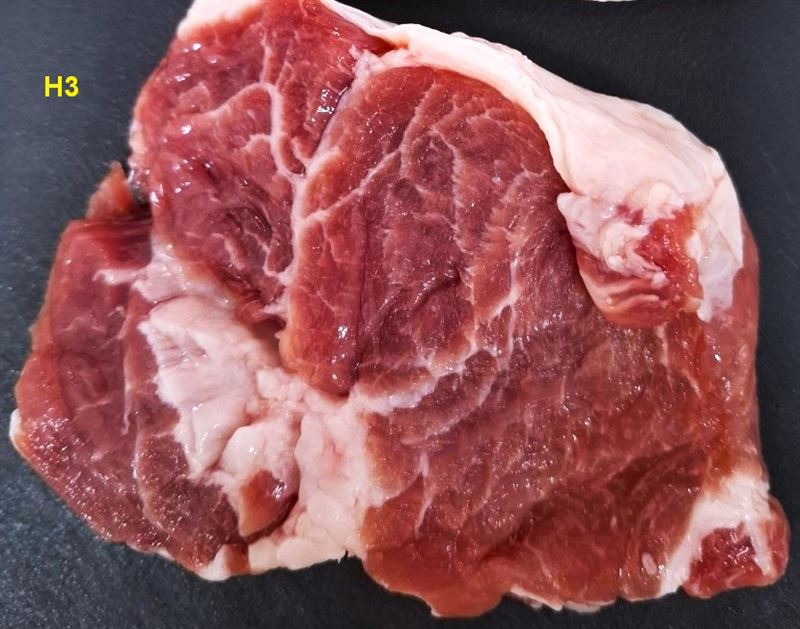 畜試所表示，里肌肉中基因標記組合為H3的部位，油花分布較多。（圖／畜試所提供）