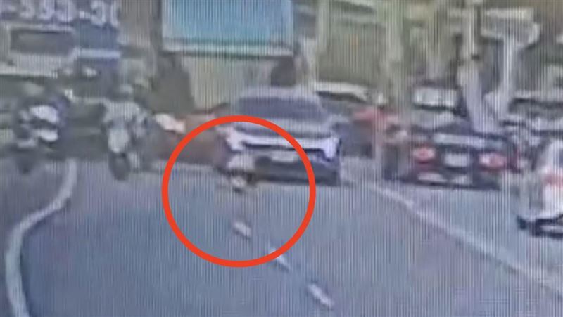 男童滑板車開路變「路隊長」驚險畫面曝