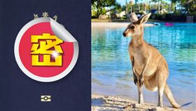 澳洲護照（圖／翻攝自維基百科、PIXABAY）