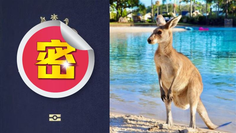 辦一本抵台灣辦七本「世界最貴護照」出爐