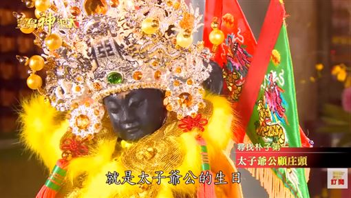 「三隻狗」祕密？龍樹亭神明生日藏的梗