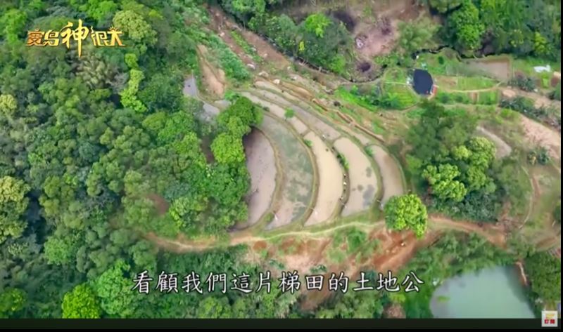 整片山林都是土地公的家。（圖／寶島神很大）