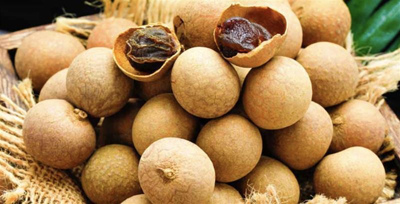 拜帶殼桂圓象徵破殼重生。（圖／翻攝自網路）