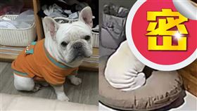 （圖／翻攝自IG）