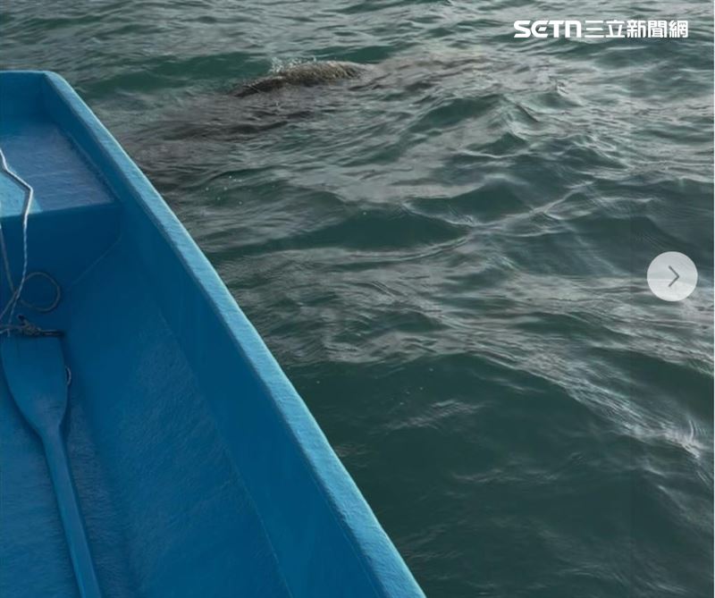水面浮現不明超大彎曲物體，外型酷似長頸生物。(圖/翻攝「日月潭一等高」粉專)