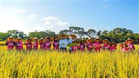 黑松教育基金會陪伴社子國小成功取得「永久綠旗」。（圖／業者提供）