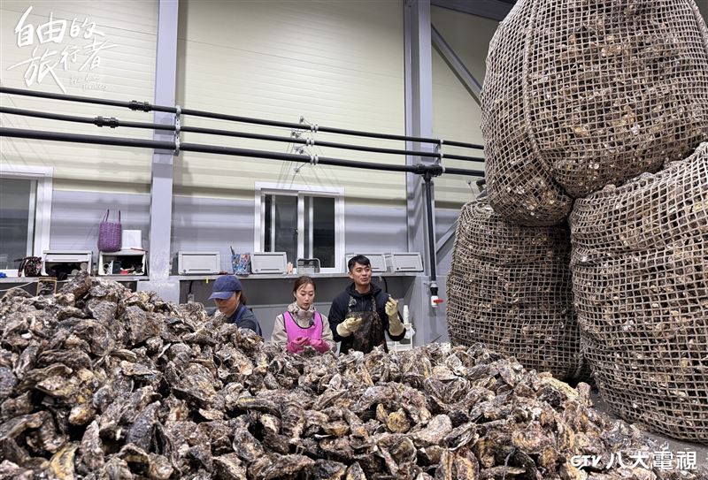 主持人融融(右)與搭檔咪蕾來到牡蠣工廠,數量驚人非常壯觀。(圖/八大提供)