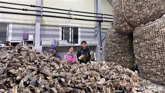 來台定居5年　韓正妹網紅離開台灣回老家