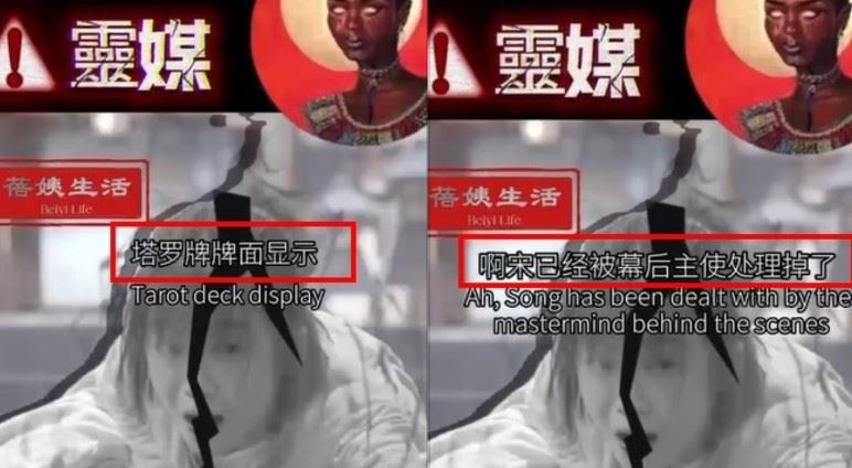 「滅口」一說則是因宋伊人知道太多內幕被「靜音」。（圖／翻攝自蓓姨生活TikTok）
