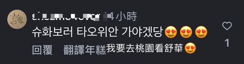 黃瓊慧嗆舒華影片是另類行銷？桃園觀旅局：上架總瀏覽突破100萬次