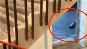 張文,北捷,殺人,煙霧彈,中山站（圖／翻攝畫面）