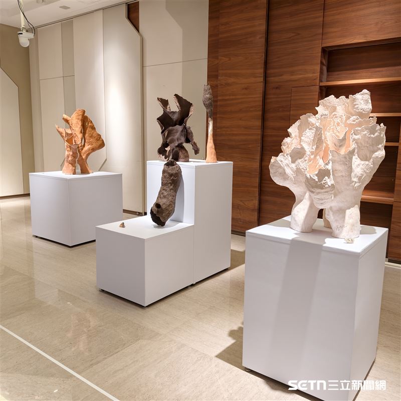 從展場的照片中，能清晰感受到鄭良珊醫師的作品流淌著一種極具生命張力的原始美感。這些作品並不追求完美的平滑，而是佈滿了刻意留下的壓痕與裂紋，彷彿無聲地訴說著生命在受創後重建的心路歷程。（圖／院方提供）