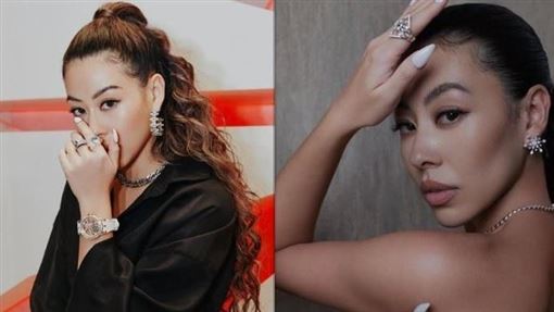 北捷命案延燒！蔡詩芸被影射挺黑道