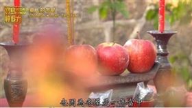 ▲冬至祭祖。（圖／寶島神很大）