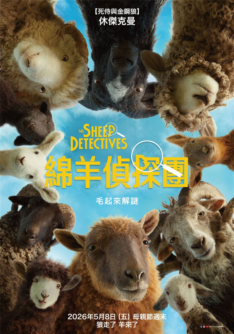《綿羊偵探團》電影海報。(圖/索尼影業提供)