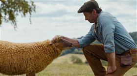 《綿羊偵探團》由金鋼狼休傑克曼主演。（圖／索尼影業提供） 