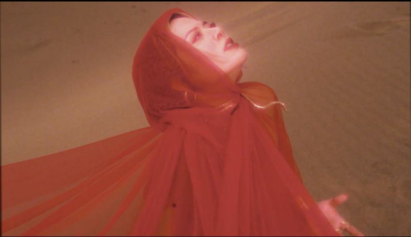 夏沐受邀擔任「黑眼豆豆」演唱會開場嘉賓。(圖／夏沐提供）