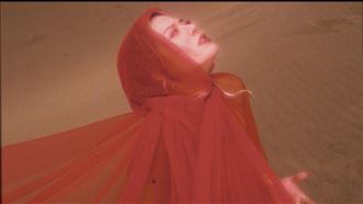 黑眼豆豆出手了　巡演嘉賓竟是台灣星二代