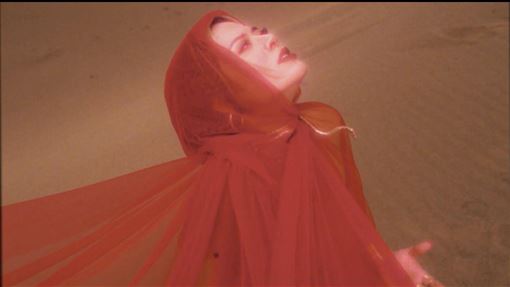 黑眼豆豆出手了　巡演嘉賓竟是台灣星二代