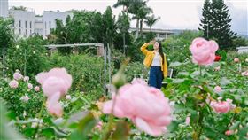 拍照,打卡,香氣,旅遊