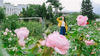 拍照,打卡,香氣,旅遊