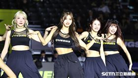 賀！全恩菲加入國王啦啦隊　這天辦見面會
