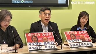 藍黨團提告5大法官！綠：司法糟蹋司法