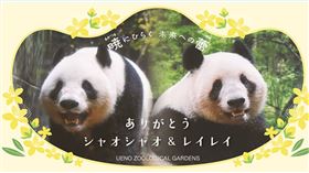 日本上野動物園的大貓熊曉曉（公）、蕾蕾（母）明年一月將歸還中國（圖／翻攝自上野動物園官網）
