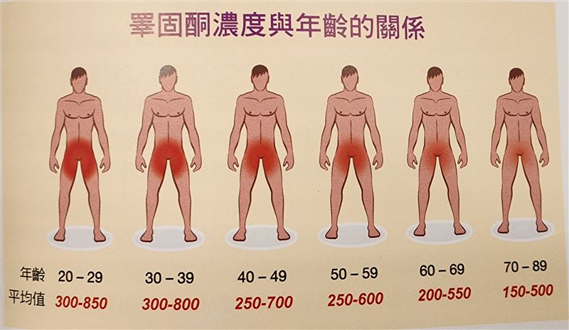 男人小心肚子大、性慾降！潘俊亨醫師警告：缺男性要賀爾蒙「睪固酮」會慢慢折磨你，讓你變老，做什麼都沒幹勁。（圖／潘俊亨醫師提供、金塊文化提供、翻攝自pixabay）