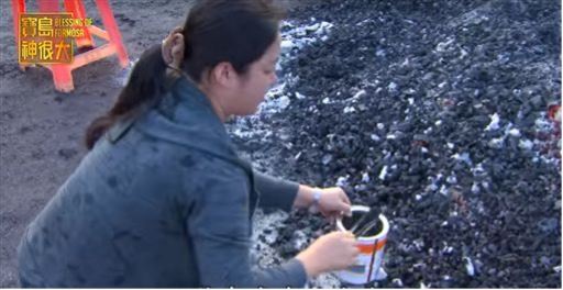 撿拾過火儀式的木炭。（圖／寶島神很大）