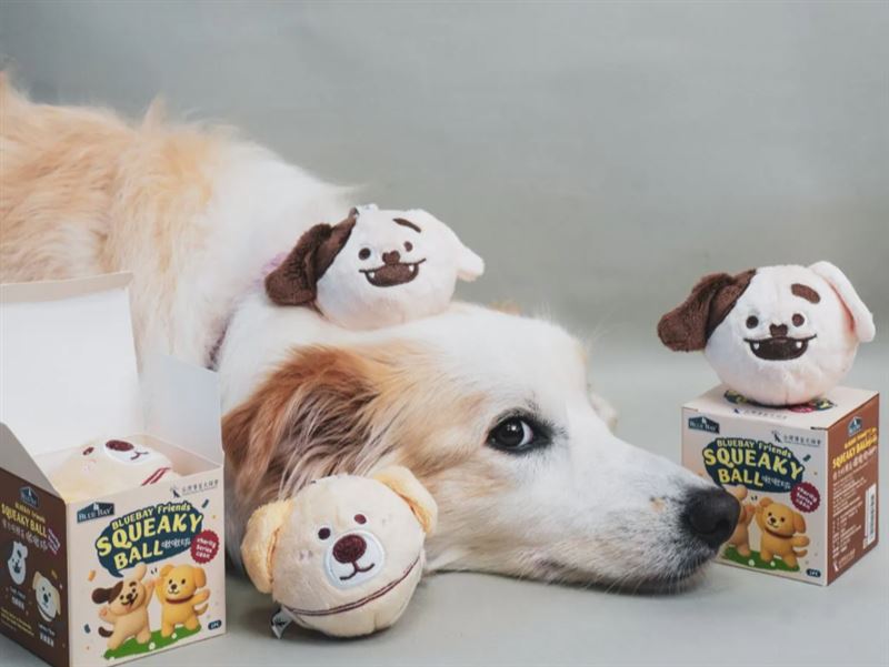 公益禮盒內含獨家聯名啾啾球，以導盲犬占比最多的犬種「拉布拉多」為原型設計，採用安全耐咬的TPR材質。（圖／品牌業者提供）